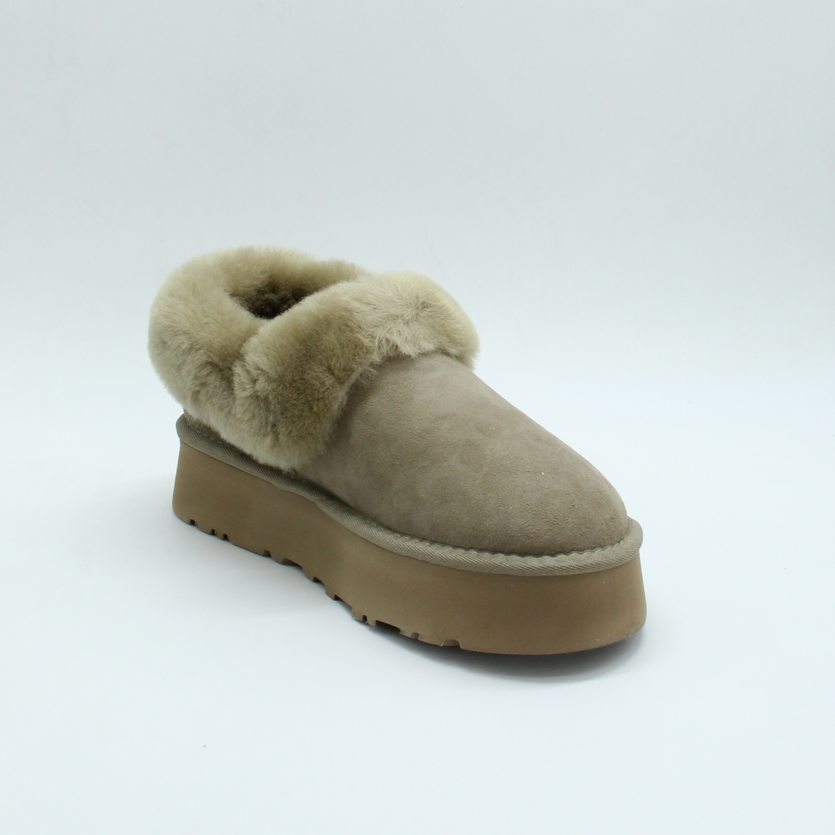 Tazzlita Slipper (Camel)