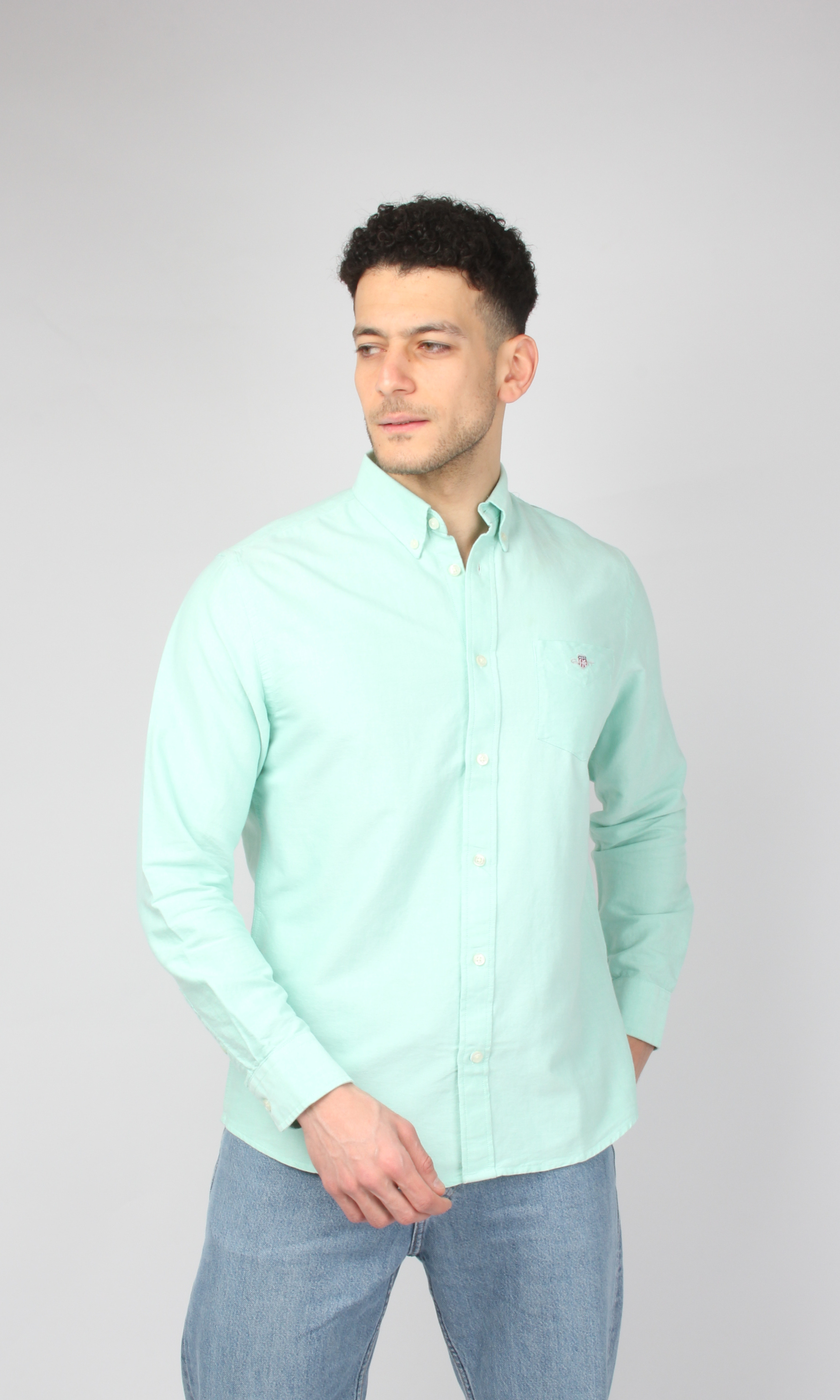 New Men Slim Fit Shirt Oxford (Light Green)