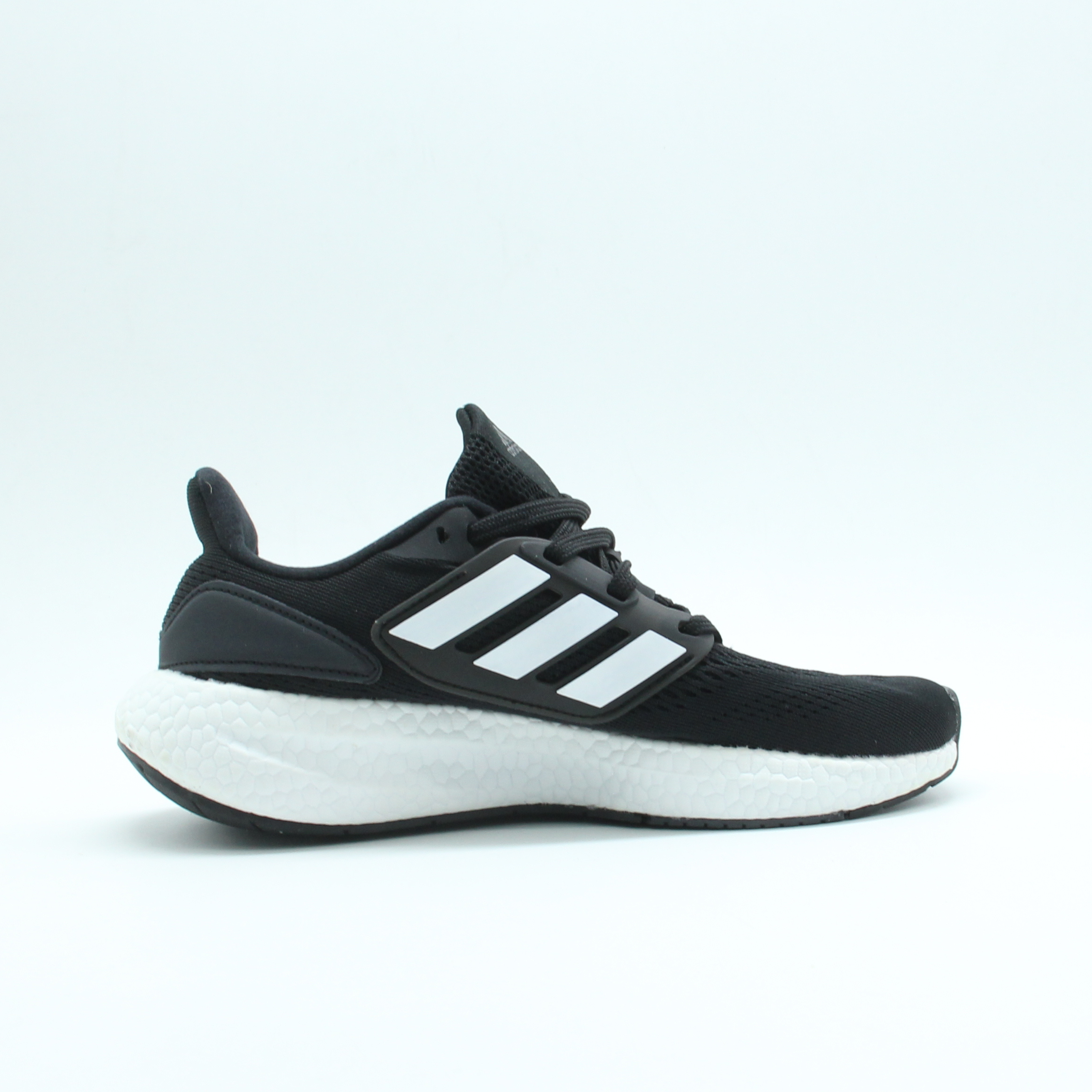 Women Pureboost 22 (Black and White)