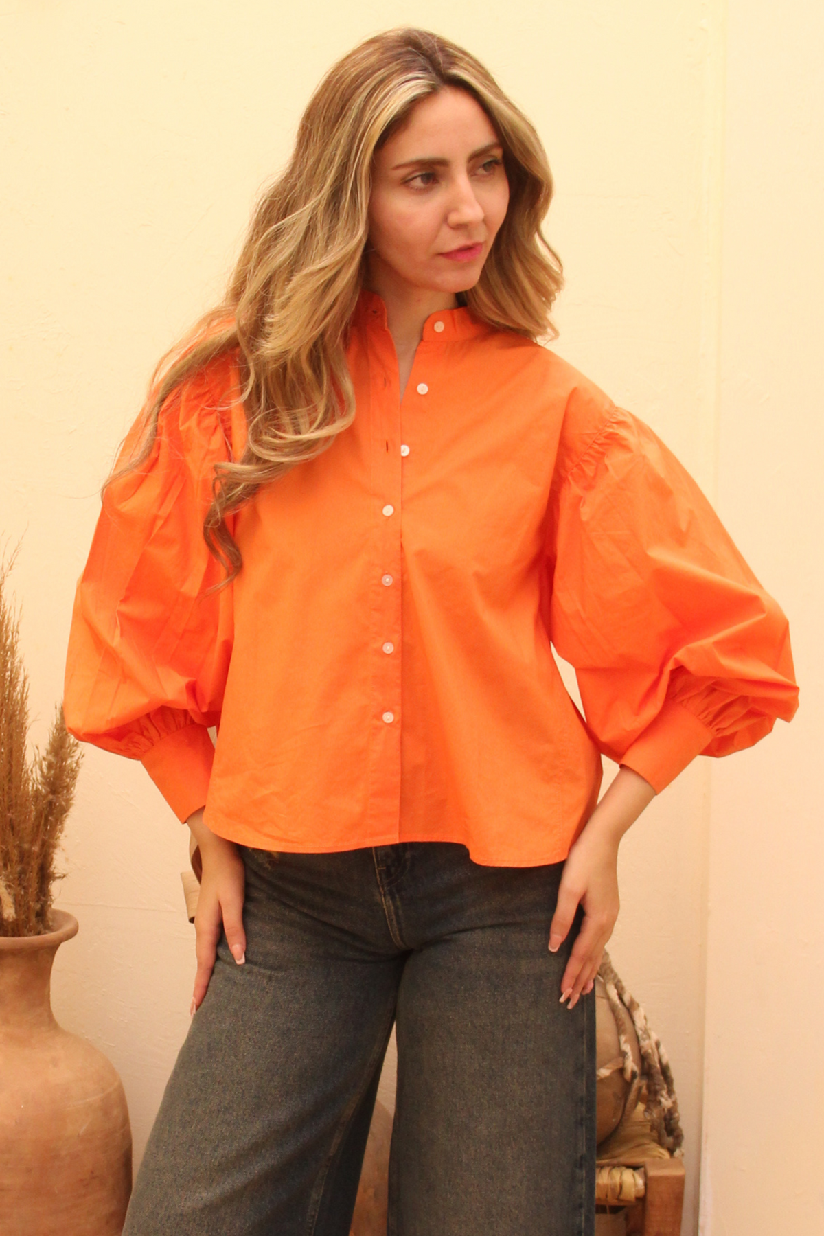 Women Blouse - Balloon sleeves