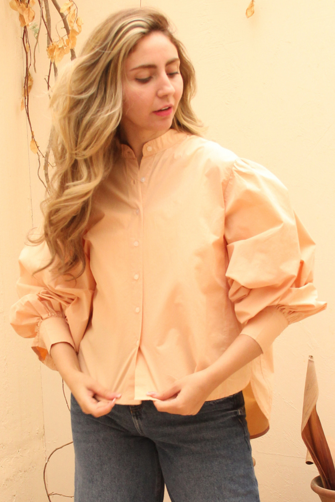 Women Blouse - Balloon sleeves