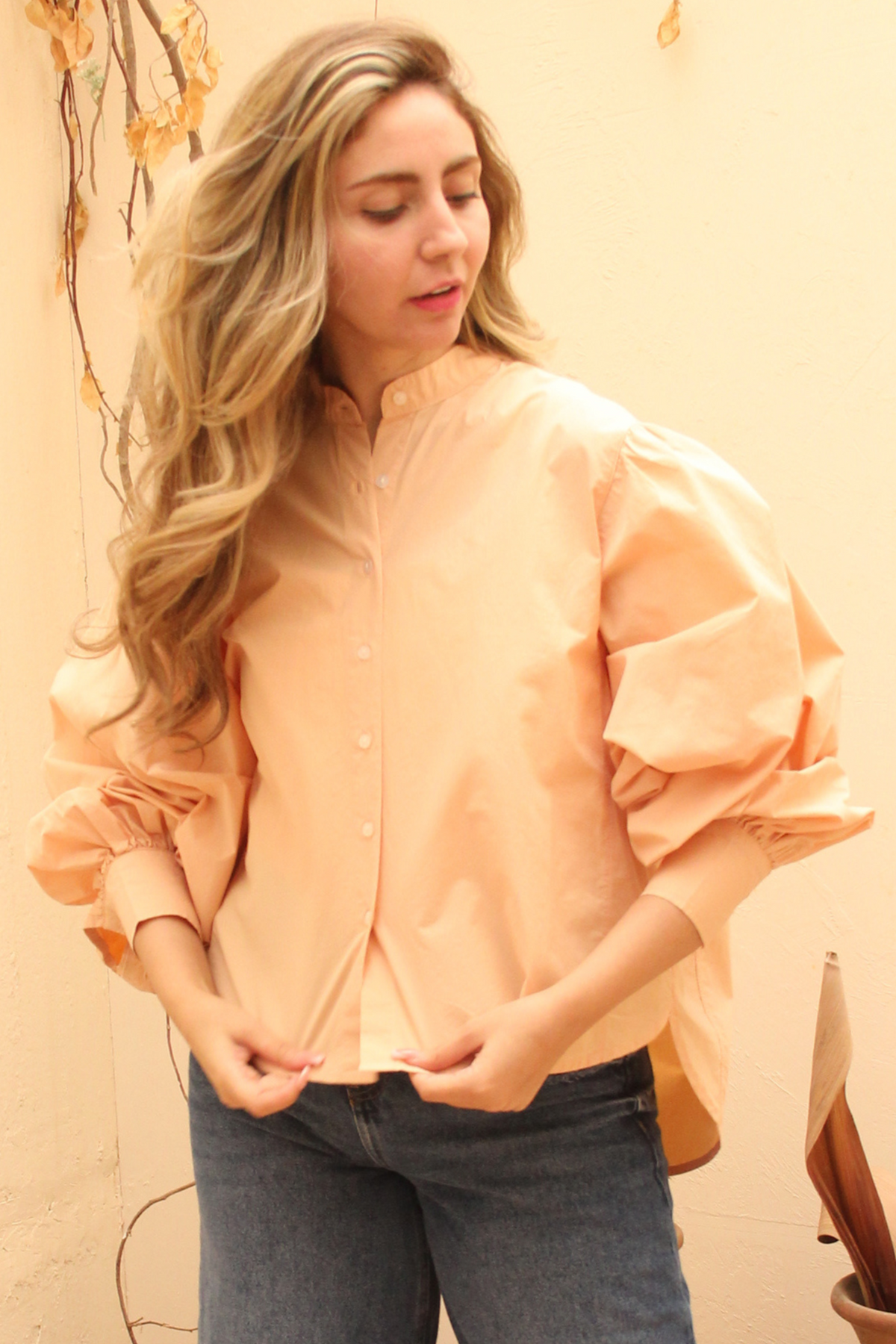 Women Blouse - Balloon sleeves