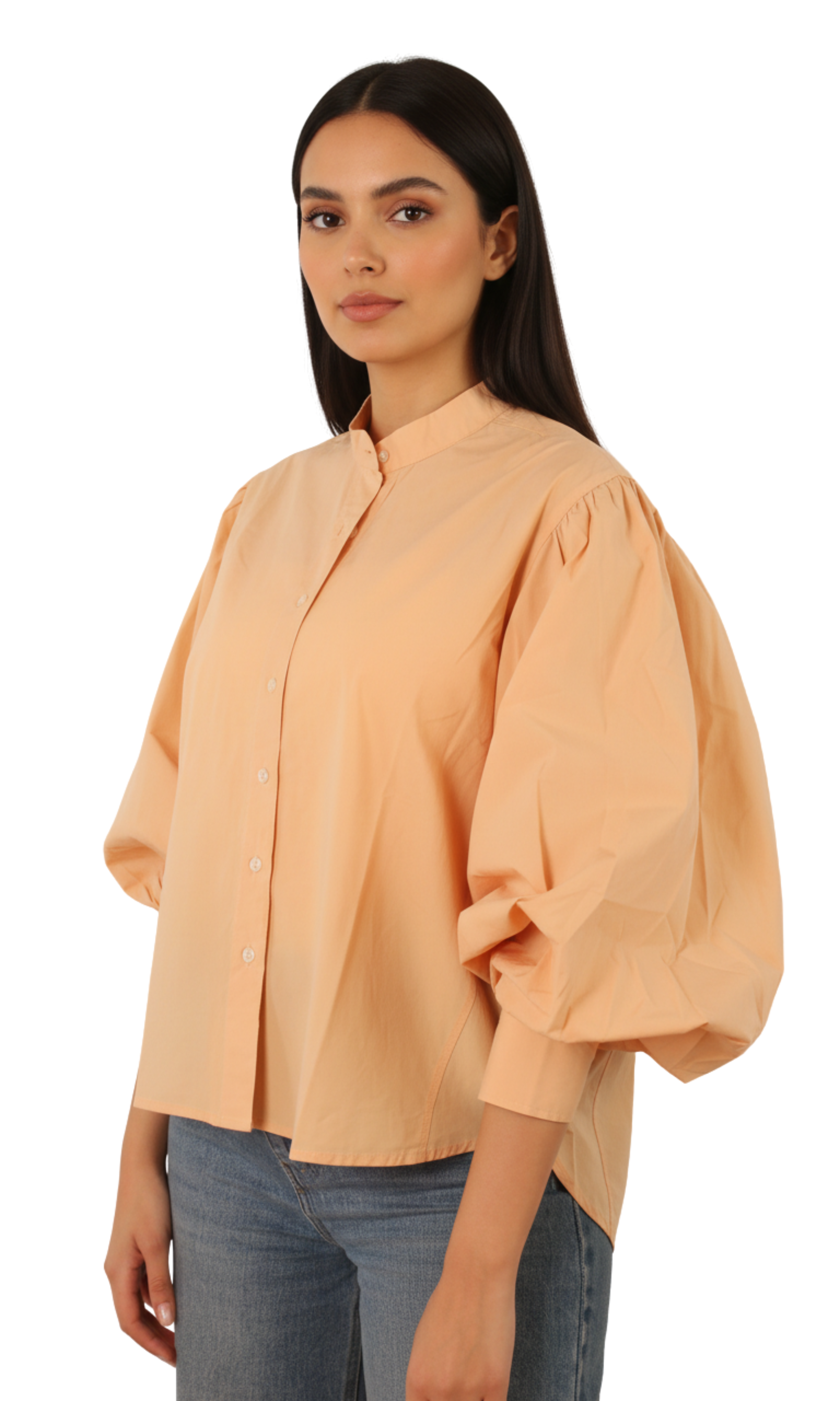 Women Blouse - Balloon sleeves