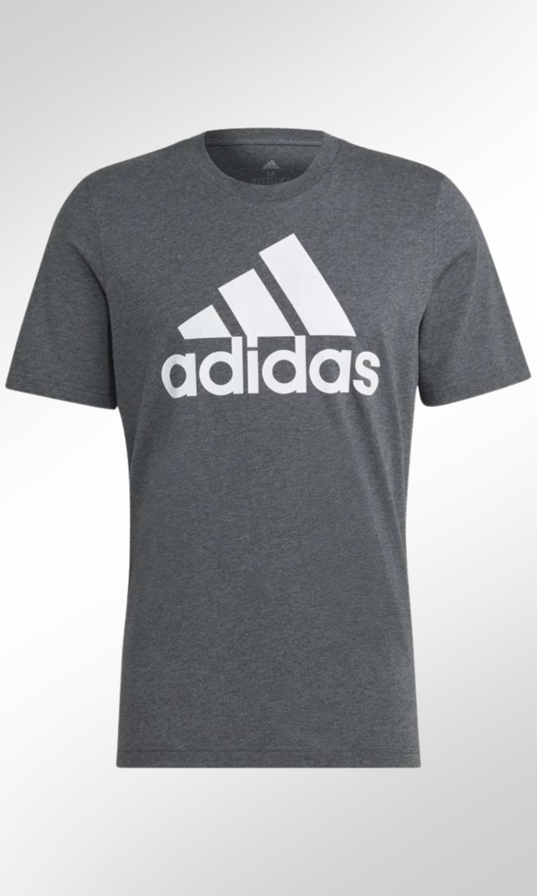 Men T-shirt (Dark Grey-Big Logo Print)