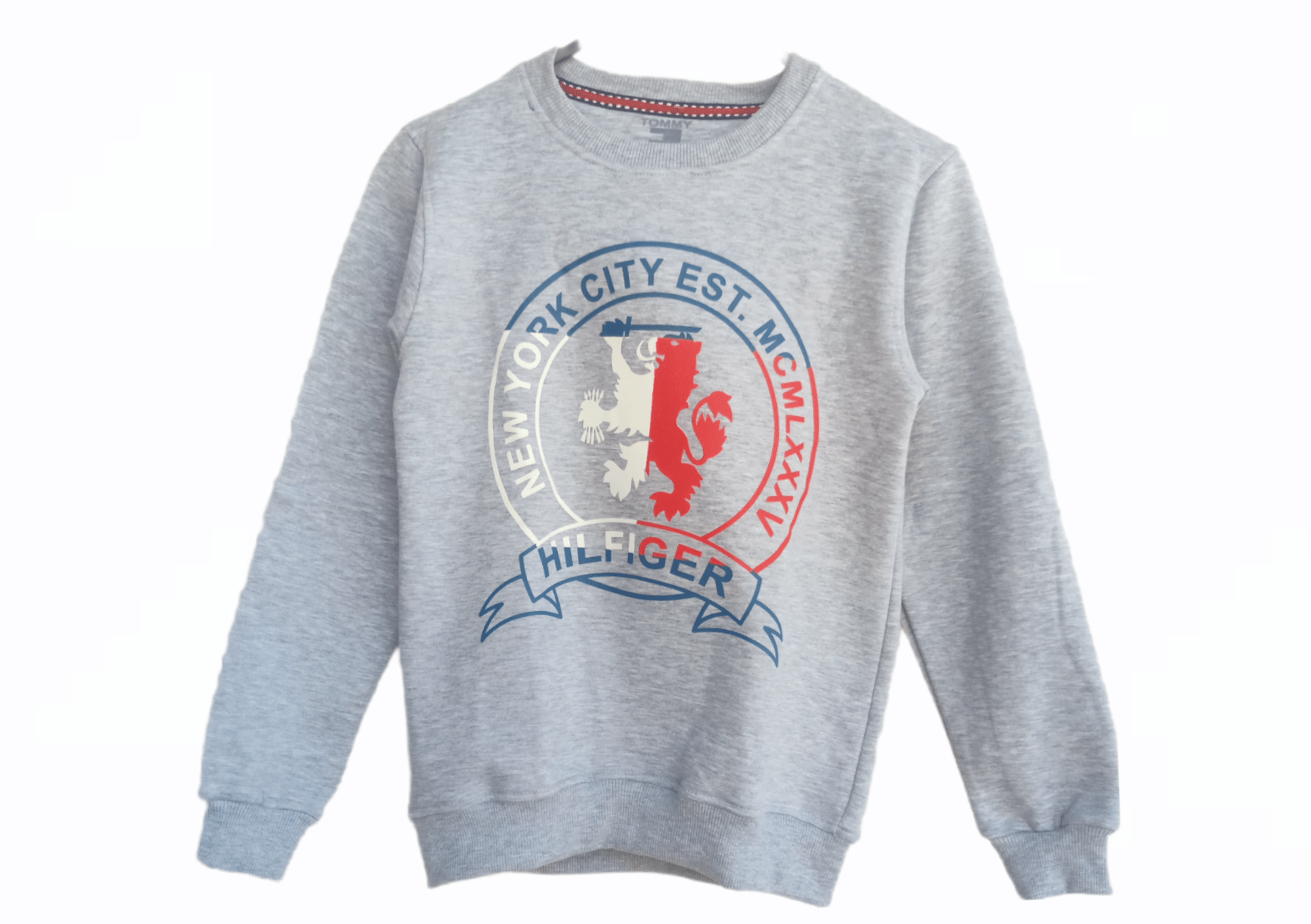ElOutlet Kids Sweatshirts Boy Sweatshirt TH - Grey