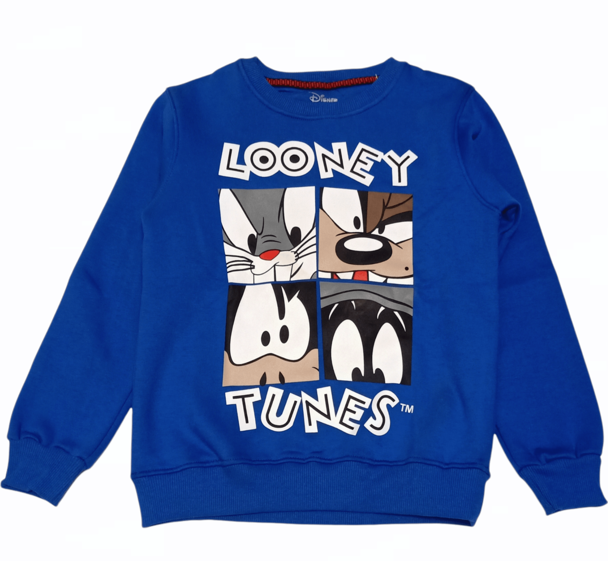 ElOutlet Kids Sweatshirts (slim-fit) Girl Looney Sweatshirt - Blue