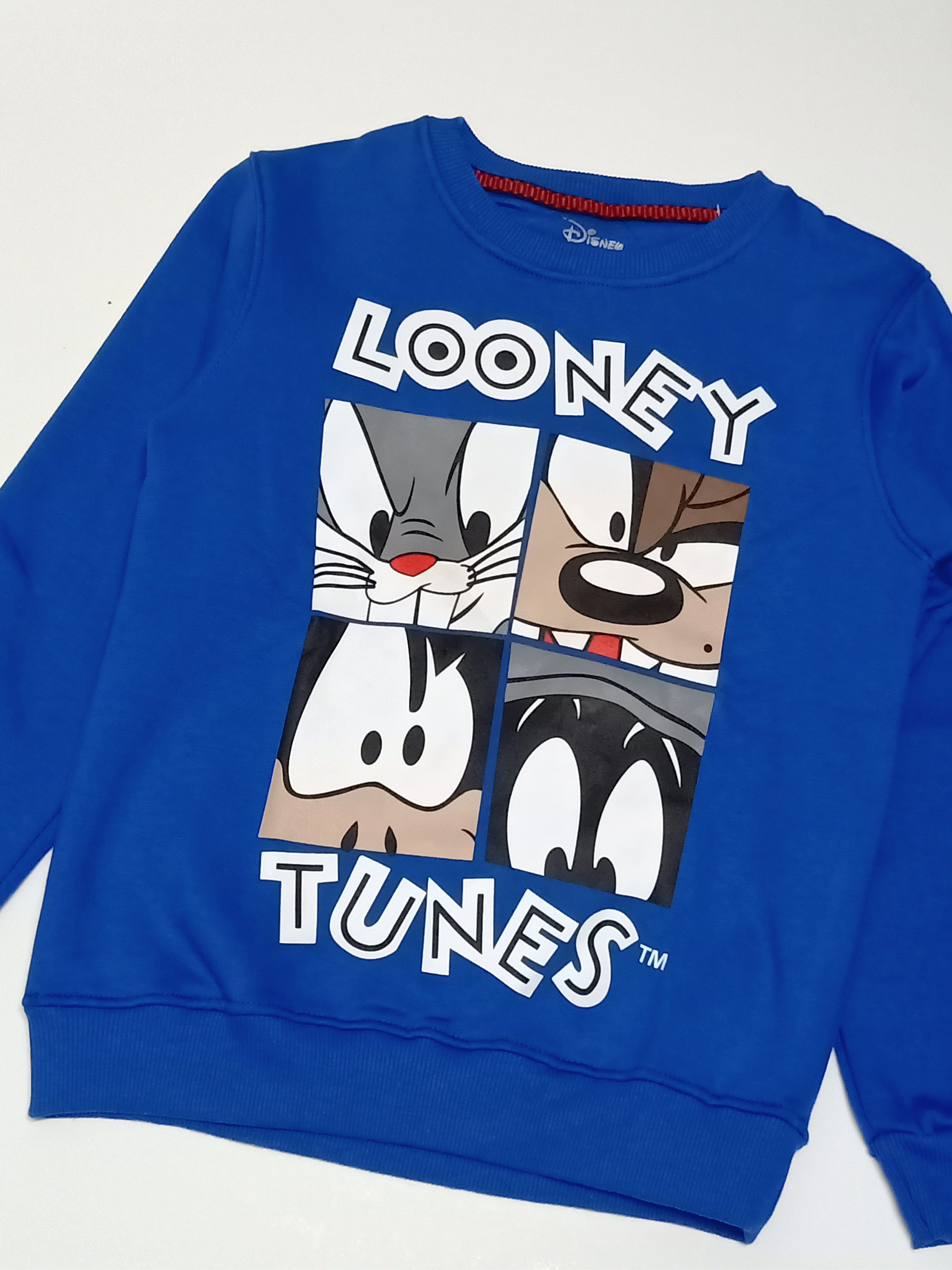 ElOutlet Kids Sweatshirts (slim-fit) Girl Looney Sweatshirt - Blue