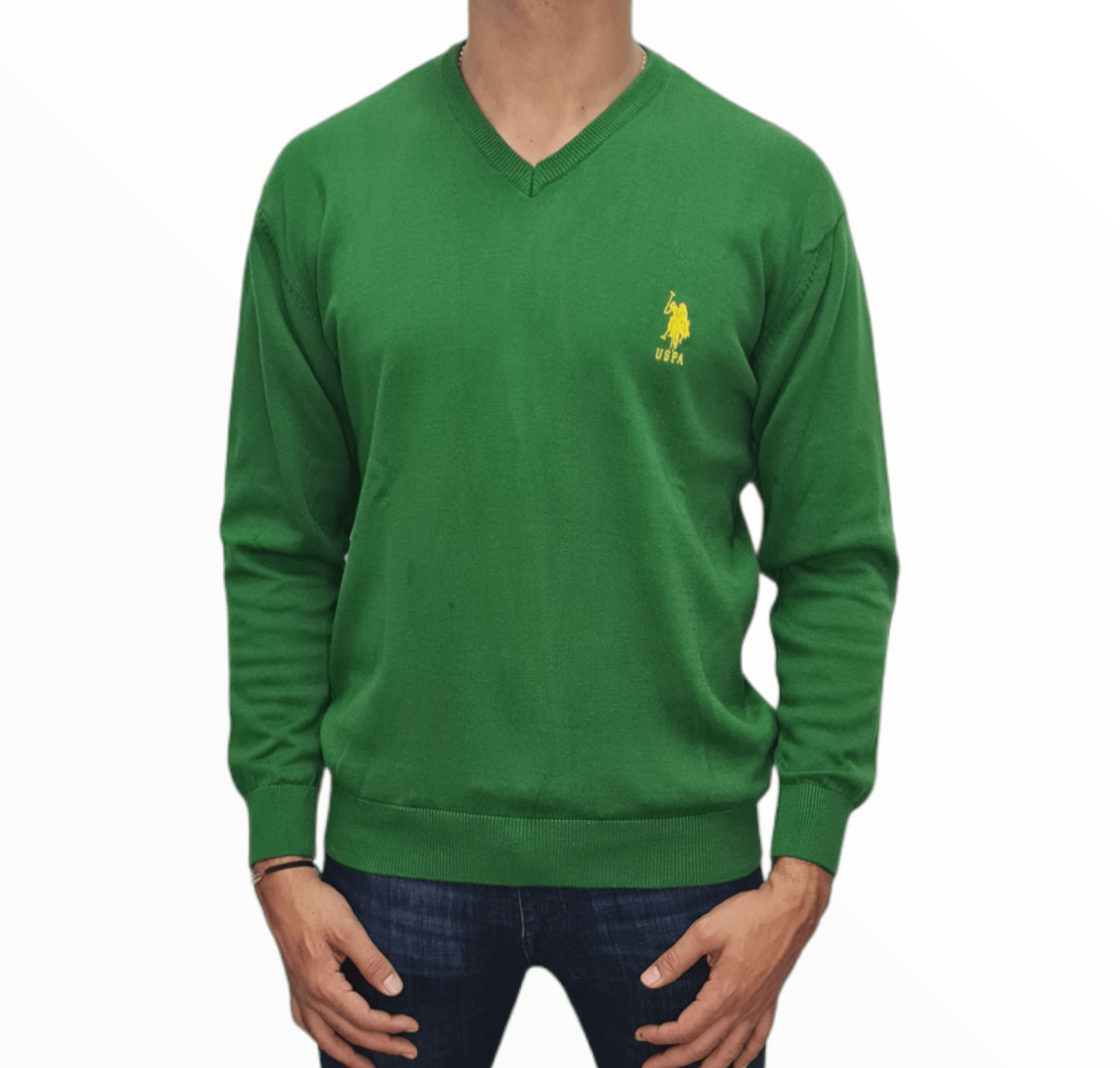 ElOutlet Men Pullover [Slim Fit] Men V-Collar Pullover USPA - Green