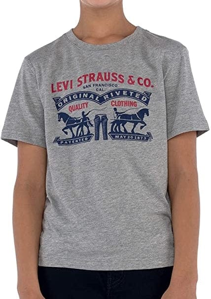 ElOutlet-Sumer Kids Kids Tshirt [Kids] Tshirt - (LV S&Co) Grey