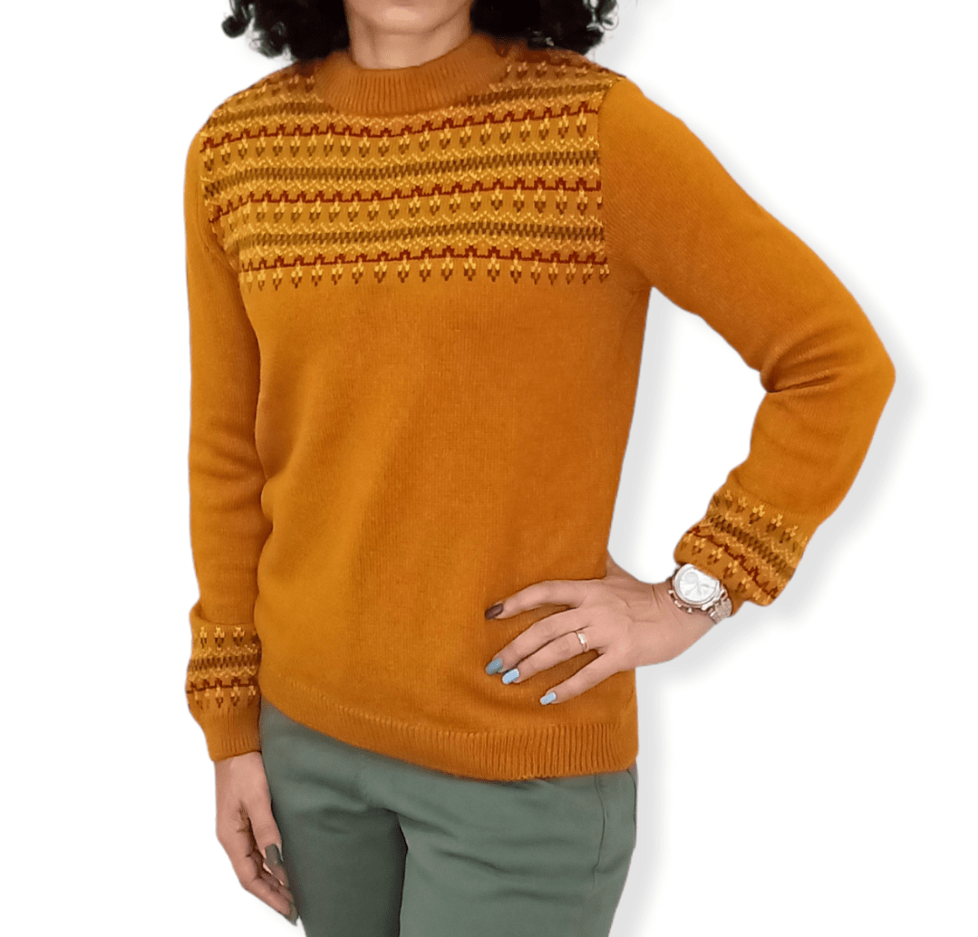 ElOutlet Women Pullover [slim-fit] Women Pullover - Orange