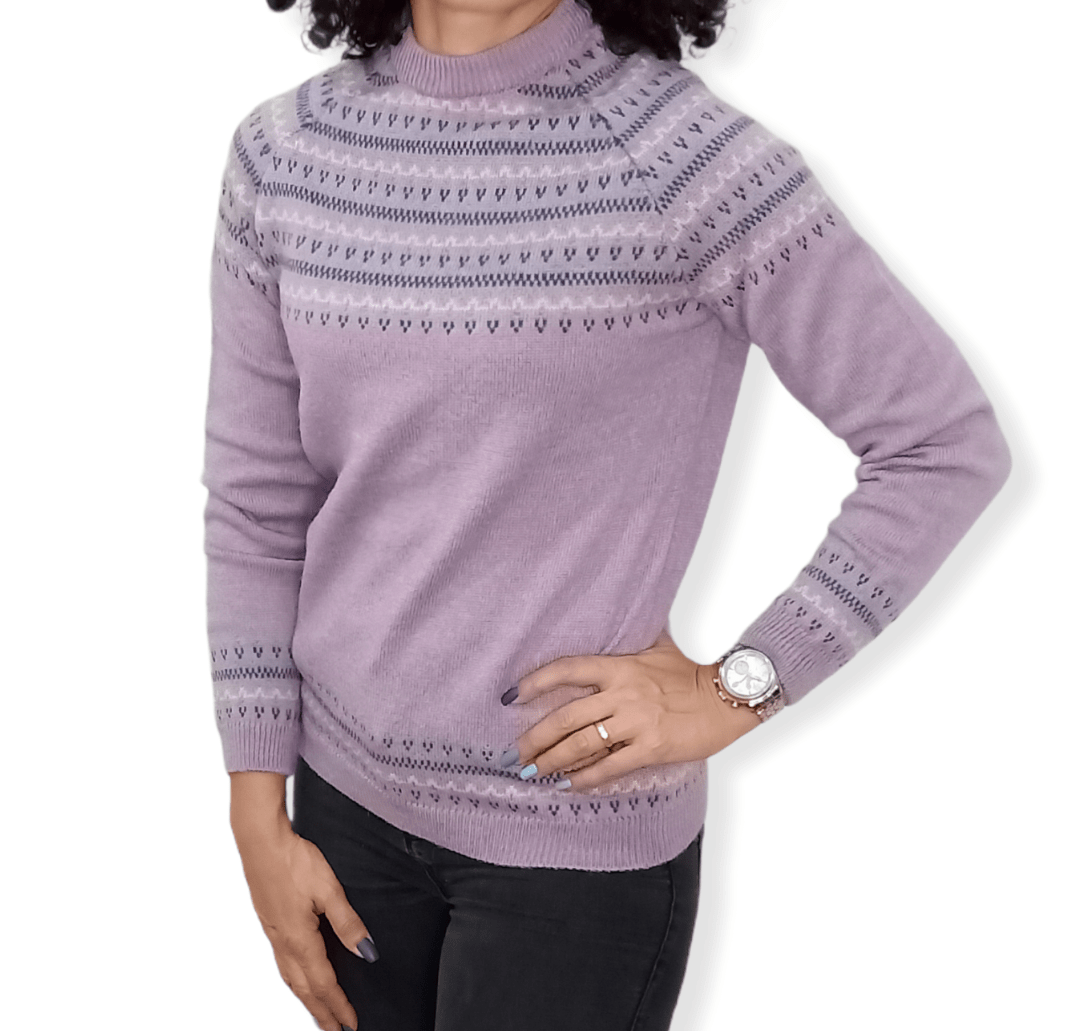 ElOutlet Women Pullover [slim-fit] Women Pullover - Purple