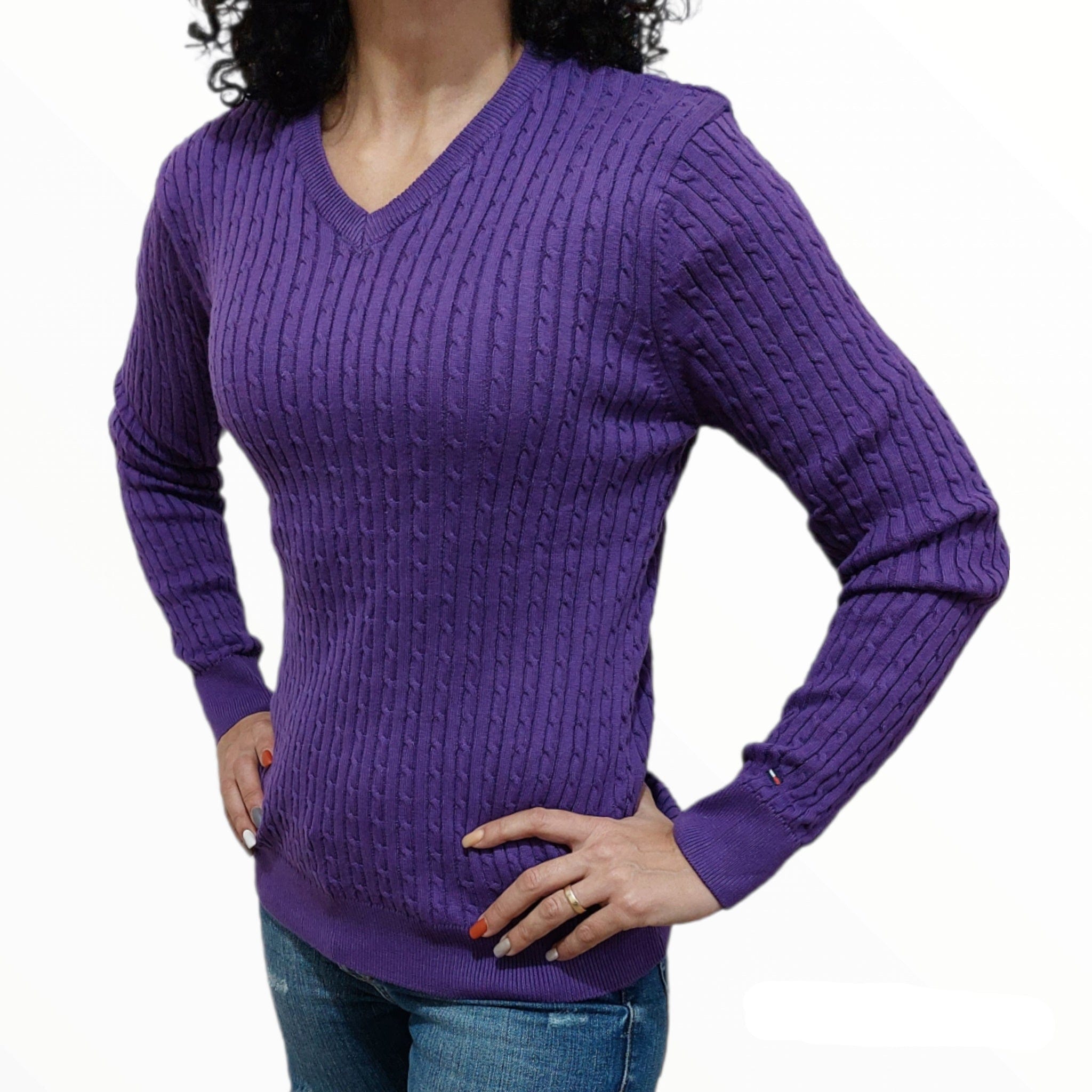 ElOutlet Women Pullover [slim-fit] Women Pullover TH - Purple