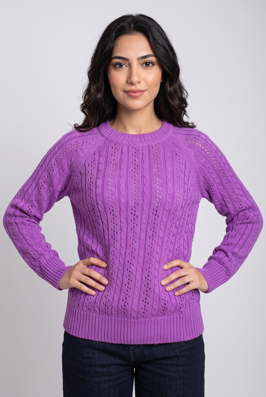 Women Round Neck Sweater (Purple)
