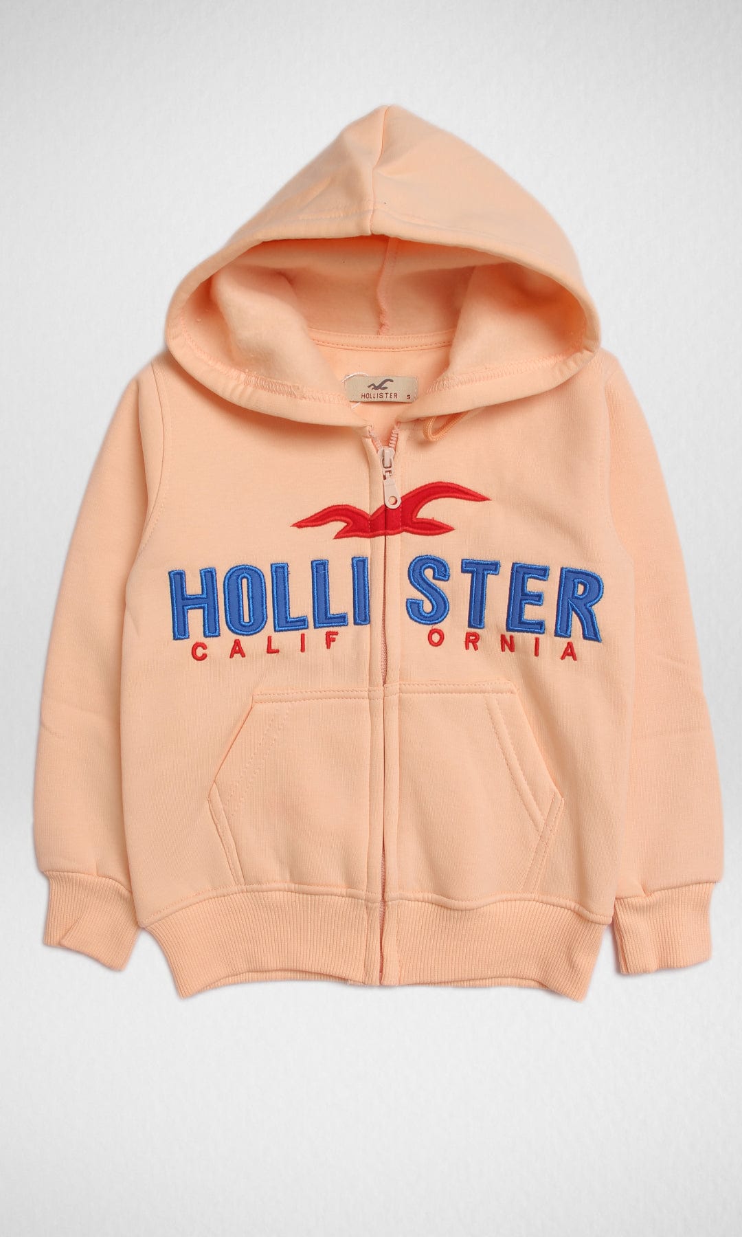 Kids Winter 24 Kids Sweatshirt Kids Jacket Hollister (Semoun )